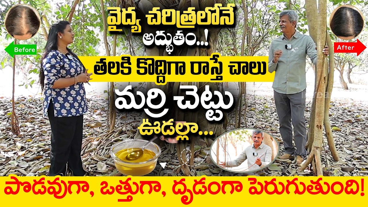 Hair Growth Indian Secret | Get Long and Thick Hair | #Marri_Udalu Uses in telugu | Dr Anjaneya Raju
