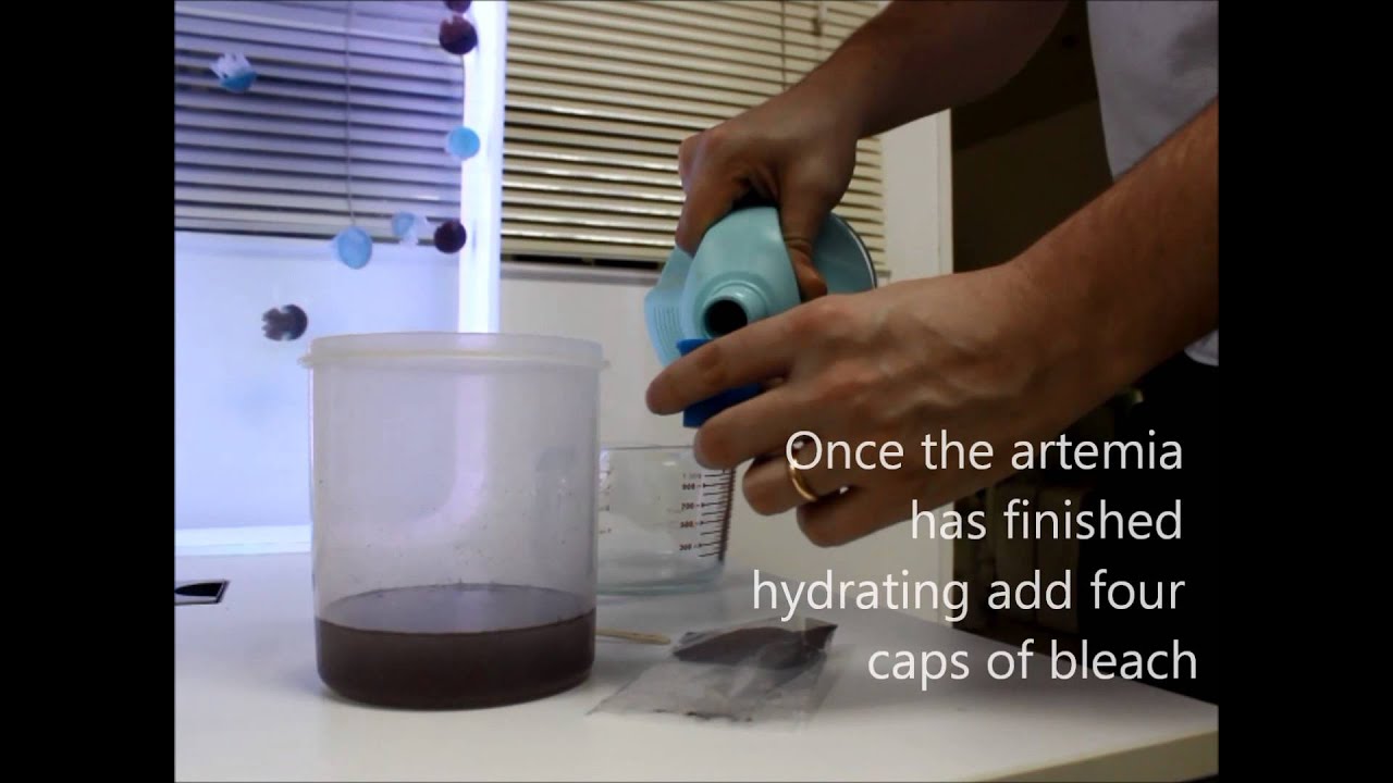 Cubic Instructional Video #2: Artemia Decapsulation