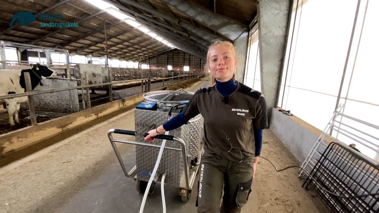 EUX Landmand på Dalum Landbrugsskole – hvad går det ud på?