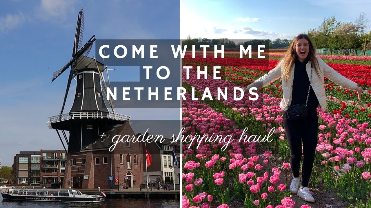 NETHERLANDS TRAVEL VLOG ✈️ (Tulip fields, the Keukenhof, Haarlem & more!) + shopping haul