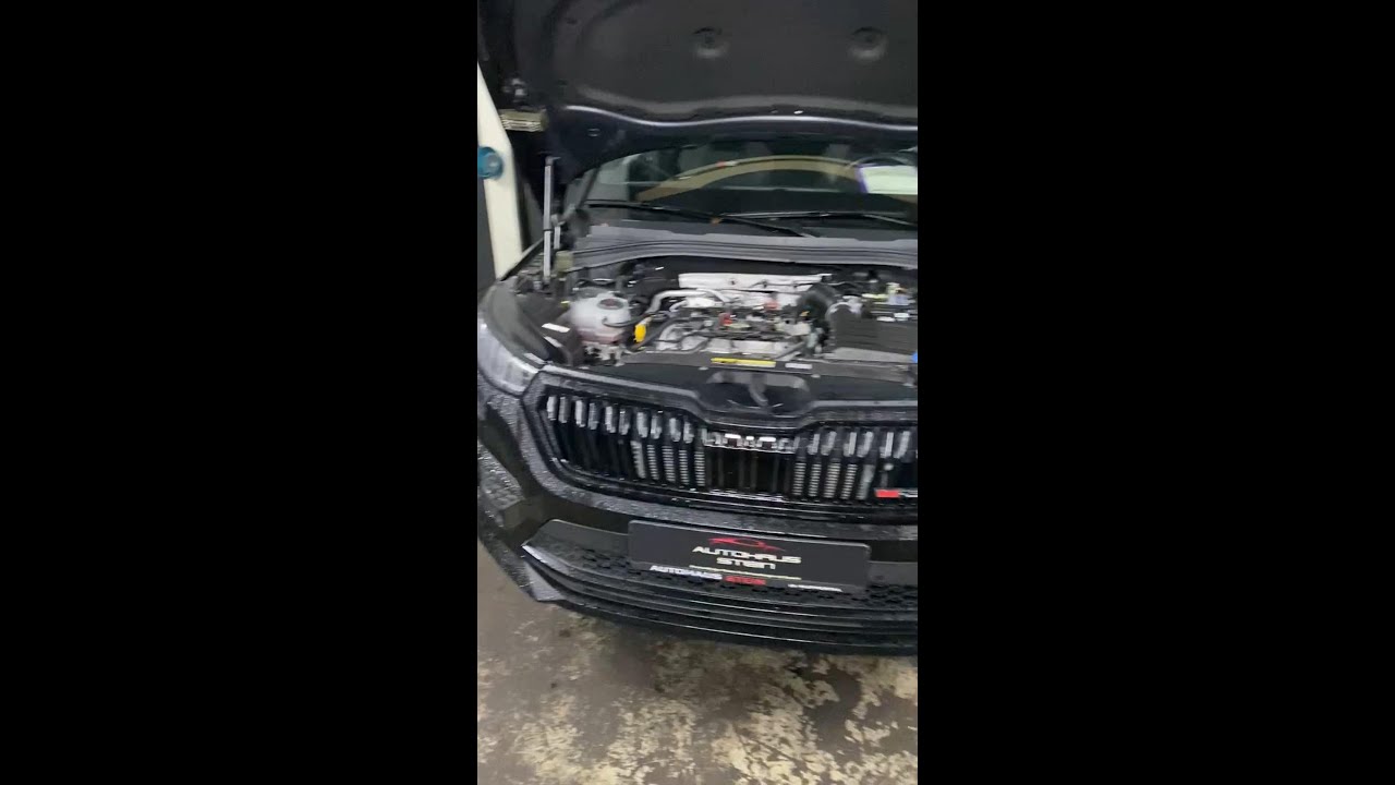 SKODA KODIAQ RS OIL CHANGE 2.0 TSI DNP ÖLWECHSELN MIT FILTER WITH FILTER 2.0 TSI 245PS