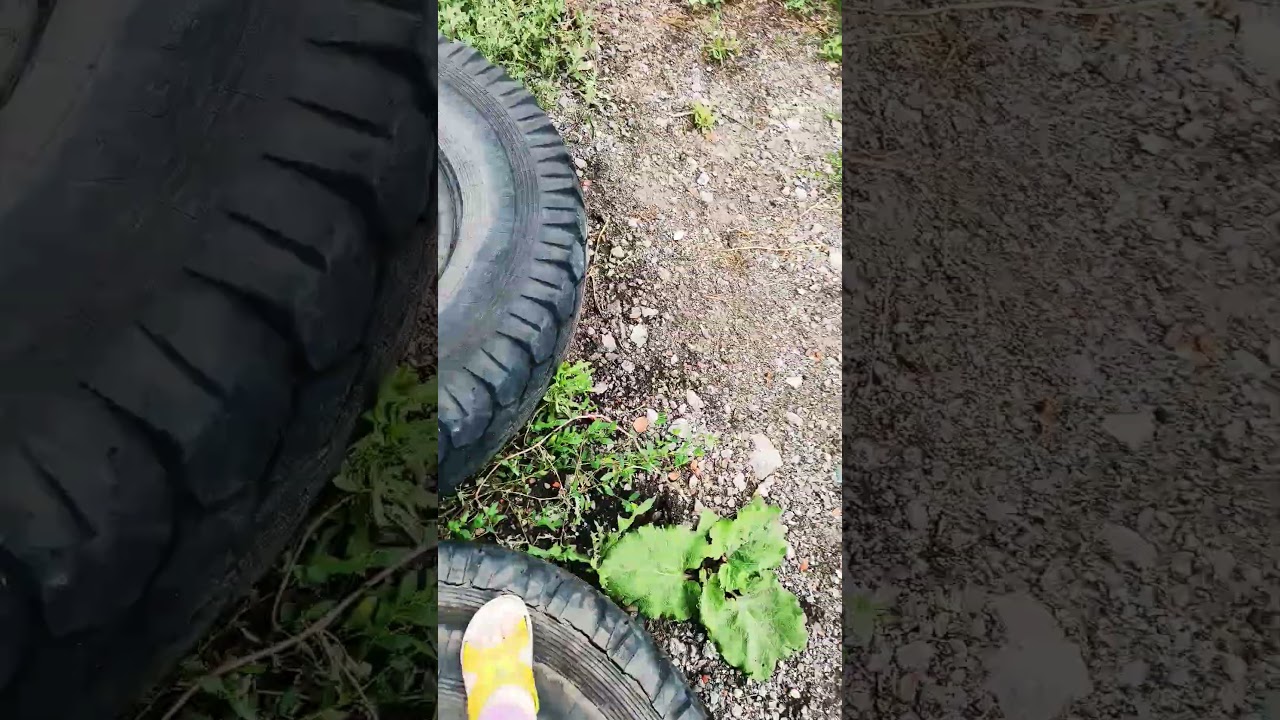 3 августа 2024 г.