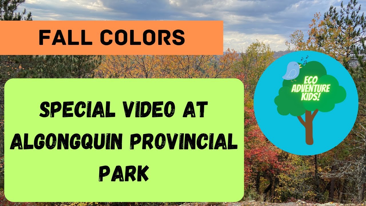 Fall Colors at Algonquin Park