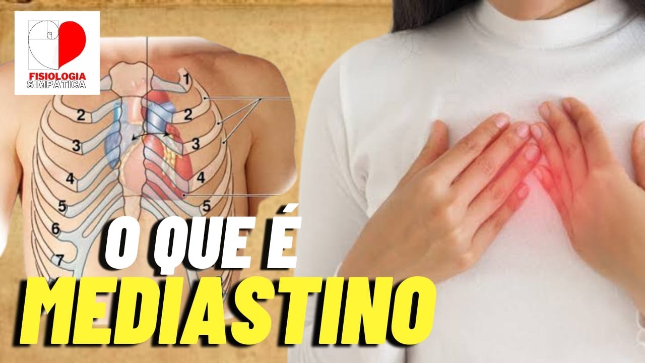 MEDIASTINO: POSICIONAMENTO DO CORAÇÃO E ESTRUTURAS QUE O CERCAM