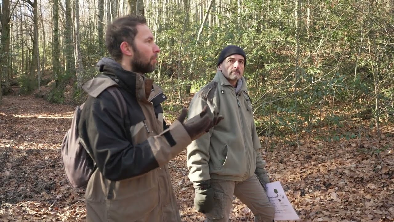 Documentaire projet SEVE : Immersion en forêt du Sidobre