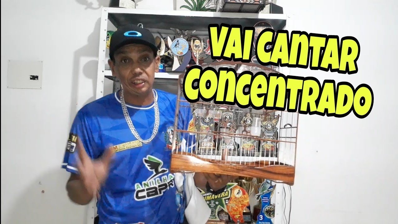MEXIDA CERTA PARA CONCENTRAR  MAIS QUALQUER COLEIRO OU PAPACAPIM DE TORNEIO