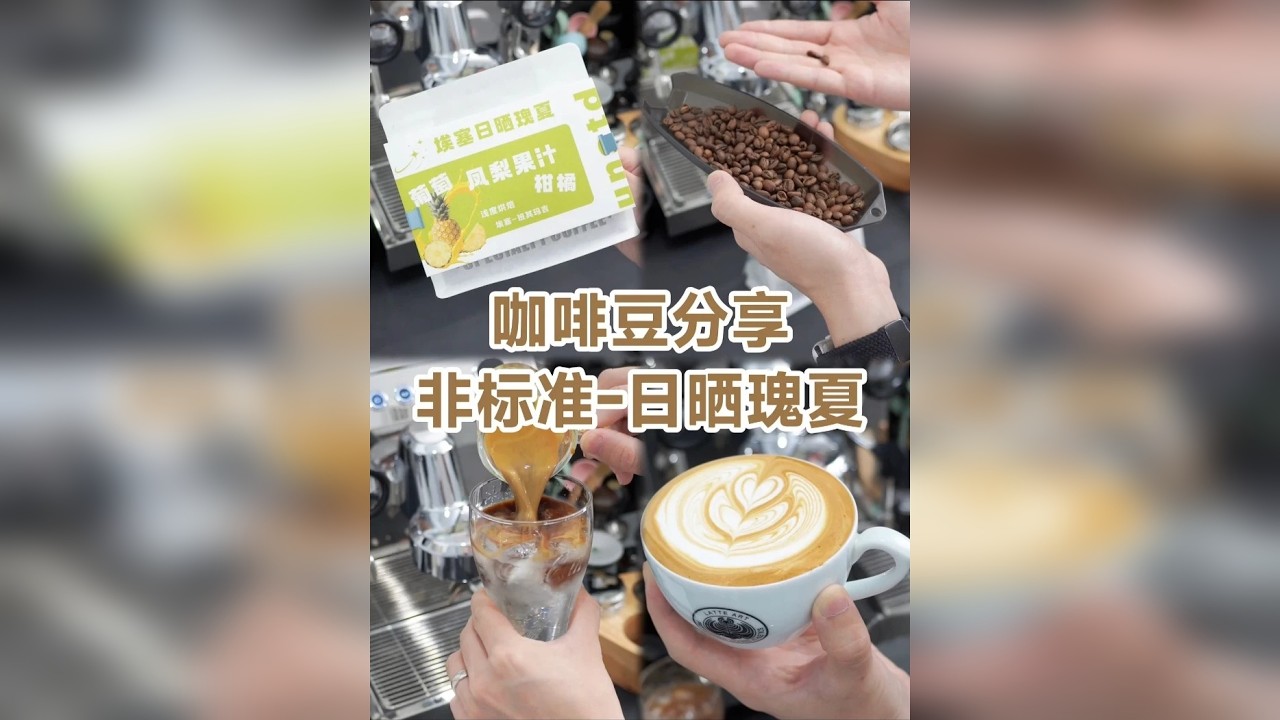 新手咖啡豆｜适合苦咖啡过渡到酸咖啡？ 从身边朋友观察看来，大部分人喝咖啡，都是从苦慢慢往酸的方向发展 而这只非标准的瑰夏，整体的烘焙风格来讲，我觉得刚好就卡在这个中间