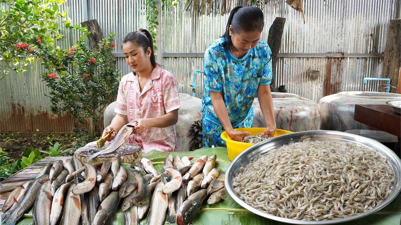 Sreypov Life Show: Snake head fishes, tiny river shrimp cook for family | Homestyle cooking