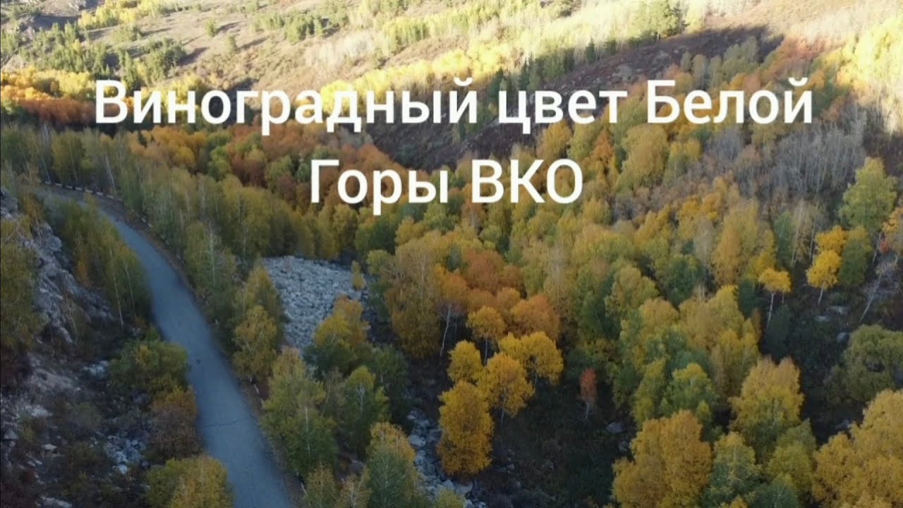 Белогорский ВКО 1950-51 Группа геологов во главе с Ю.А.Садовским окрыла редкоземельные жилы