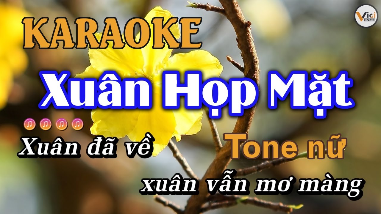 Xuân Họp Mặt - KARAOKE || Tone nữ - Vici Karaoke