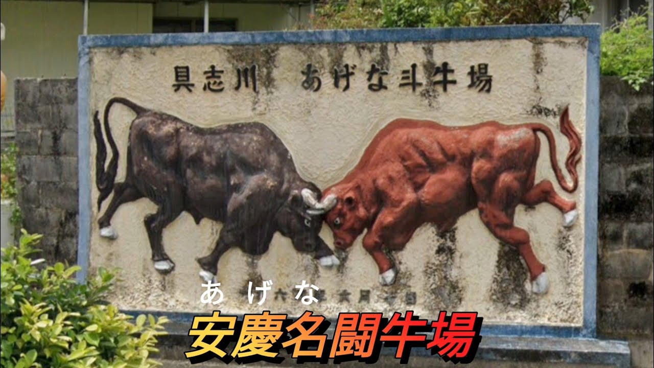 安慶名(あげな)闘牛場