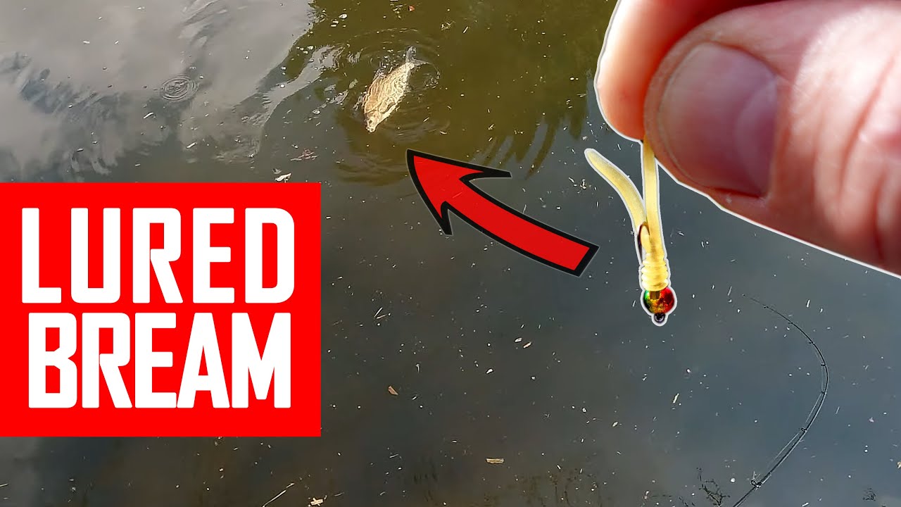 Bream and Roach on lures. Fishing on a busy canal.