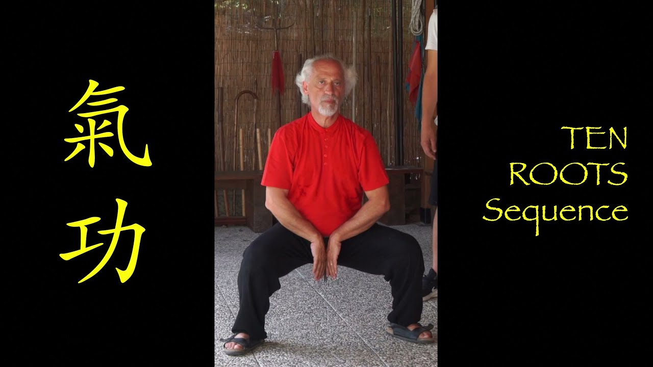 氣功 QI GONG Ten Roots sequence