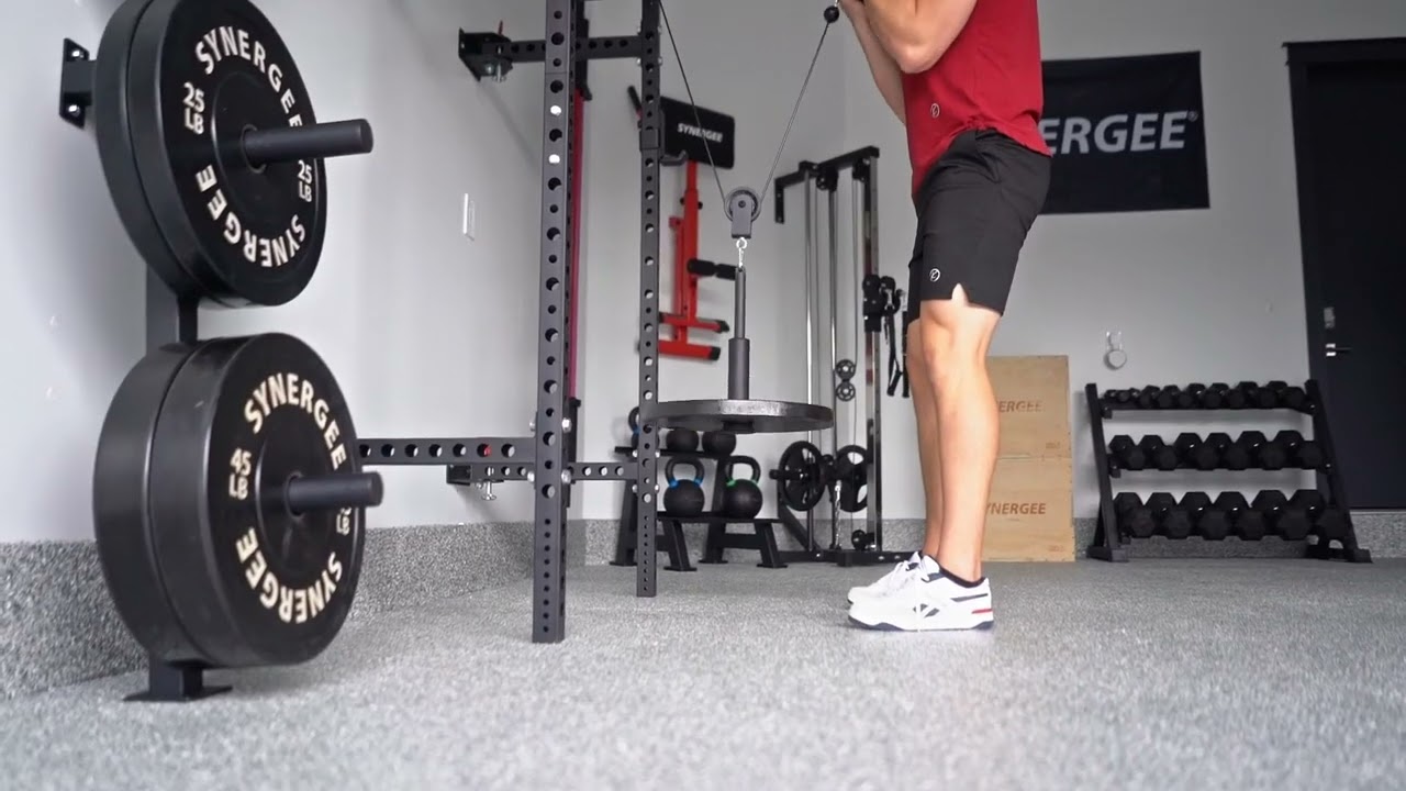 Synergee Weight Plate Wall Storage