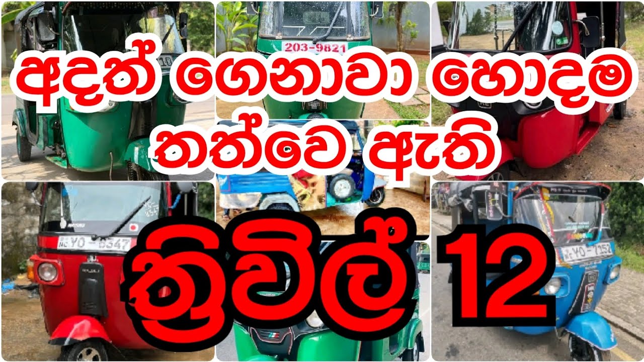 ඉතා හොඳ තත්ත්වයේ Three Wheel 12ක් විකිණීමට | Low Price | Ready to Run | Sri Lanka