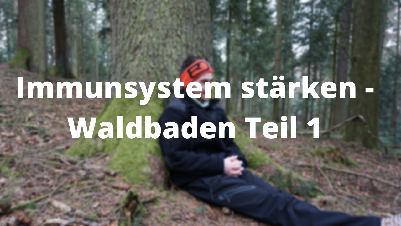 Immunsystem st&auml;rken - Waldbaden Waldgesundheit MyWoid Bayerischer Wald