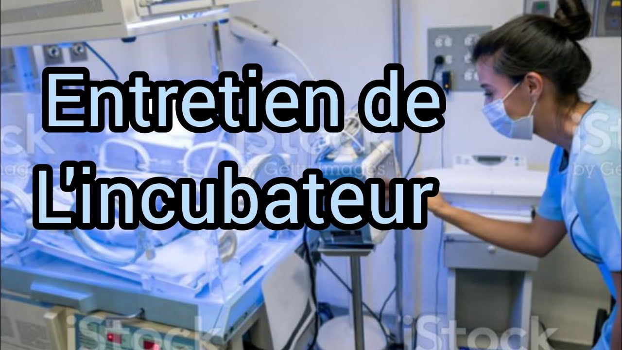 Couveuse/incubateur : Définition et entretien