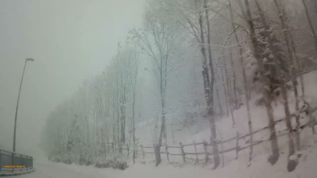 Branzi snow 19 Febbraio 2026