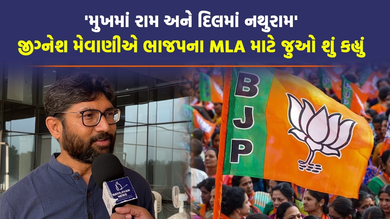 Jignesh Mevani નો દાવો, કેન્દ્ર સરકારે Gujarat ની સરકારને અન્યાય કર્યો | Congress | BJP |