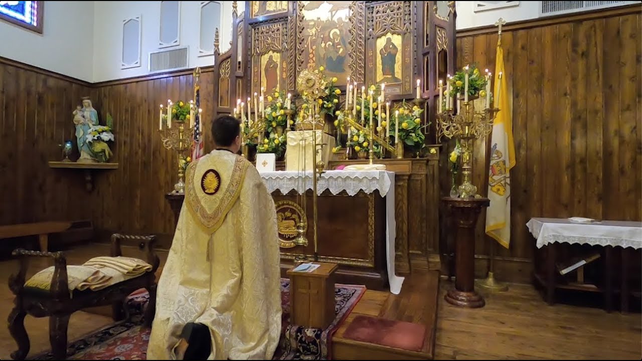 Holy Hour of Reparation - Daughters of Mary, Mother of Our Savior