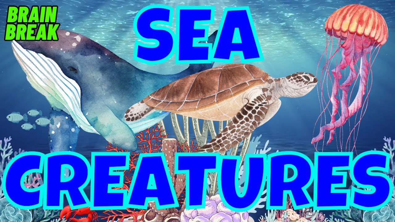 SEA CREATURES. OCEAN ANIMALS. WOULD YOU RATHER BRAIN BREAK EXERCISE FOR KIDS. ANIMAL SERIES