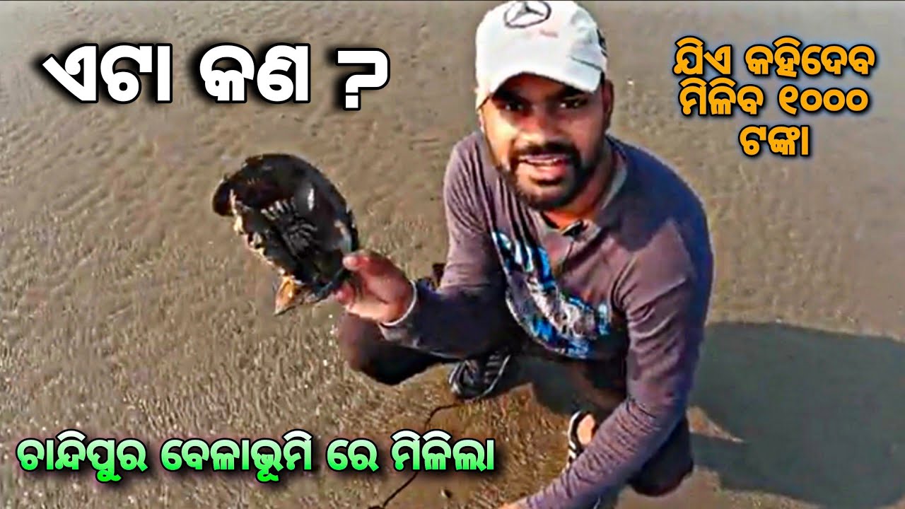 I Visited India's Mysterious Chandipur Sea Beach