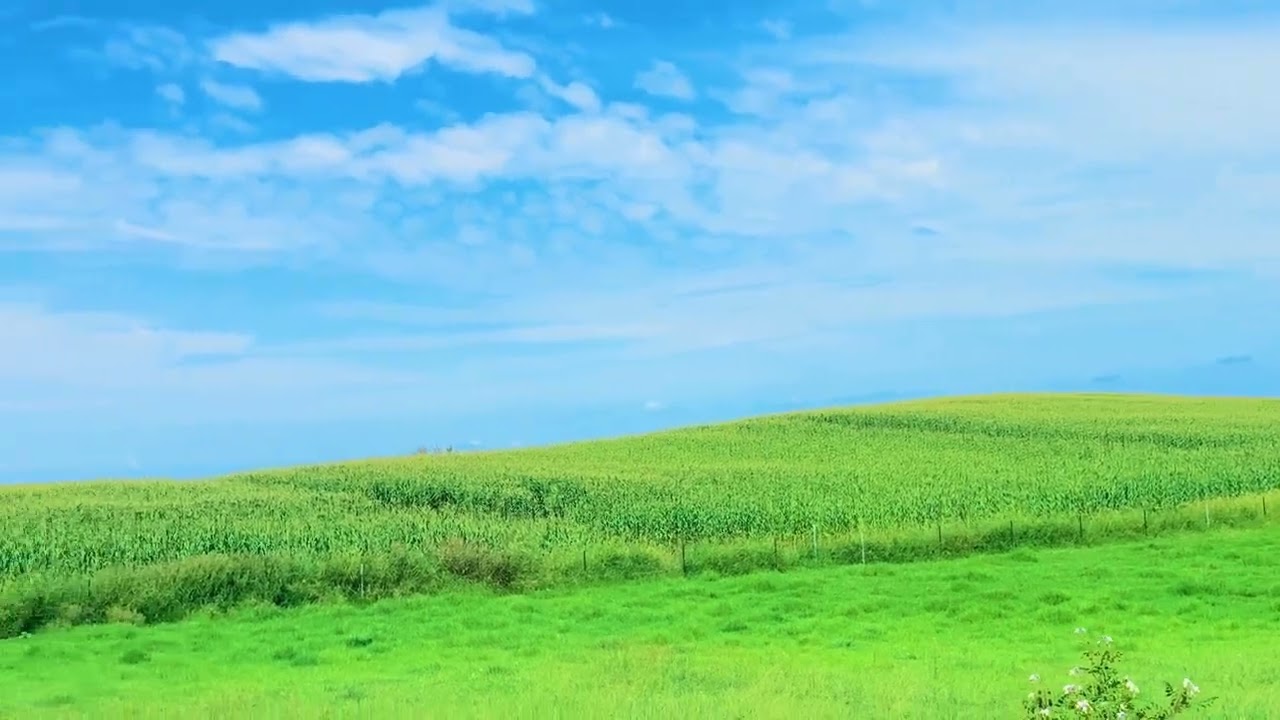 WOW! what a beautiful place