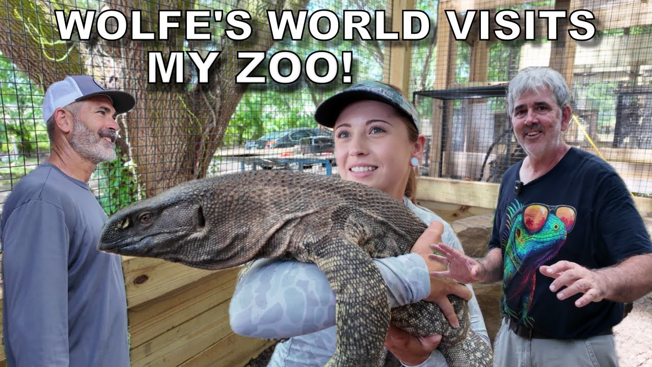 My Interactive Reptile Zoo's First Visitors.