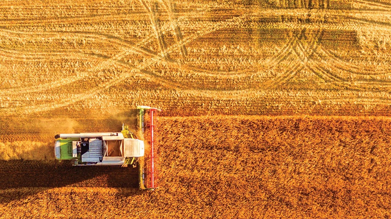 Exploring new ways to feed the world