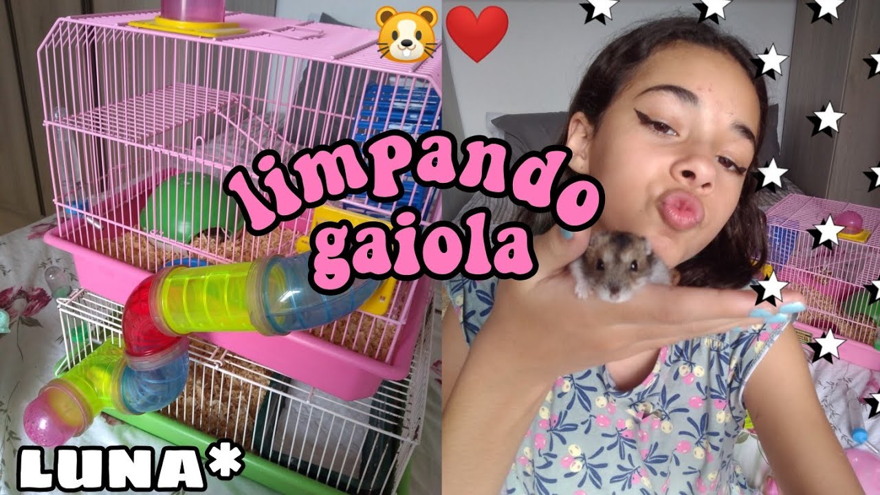 LIMPANDO A GAIOLA DA MINHA HAMSTER LUNA (ISA SILVA)
