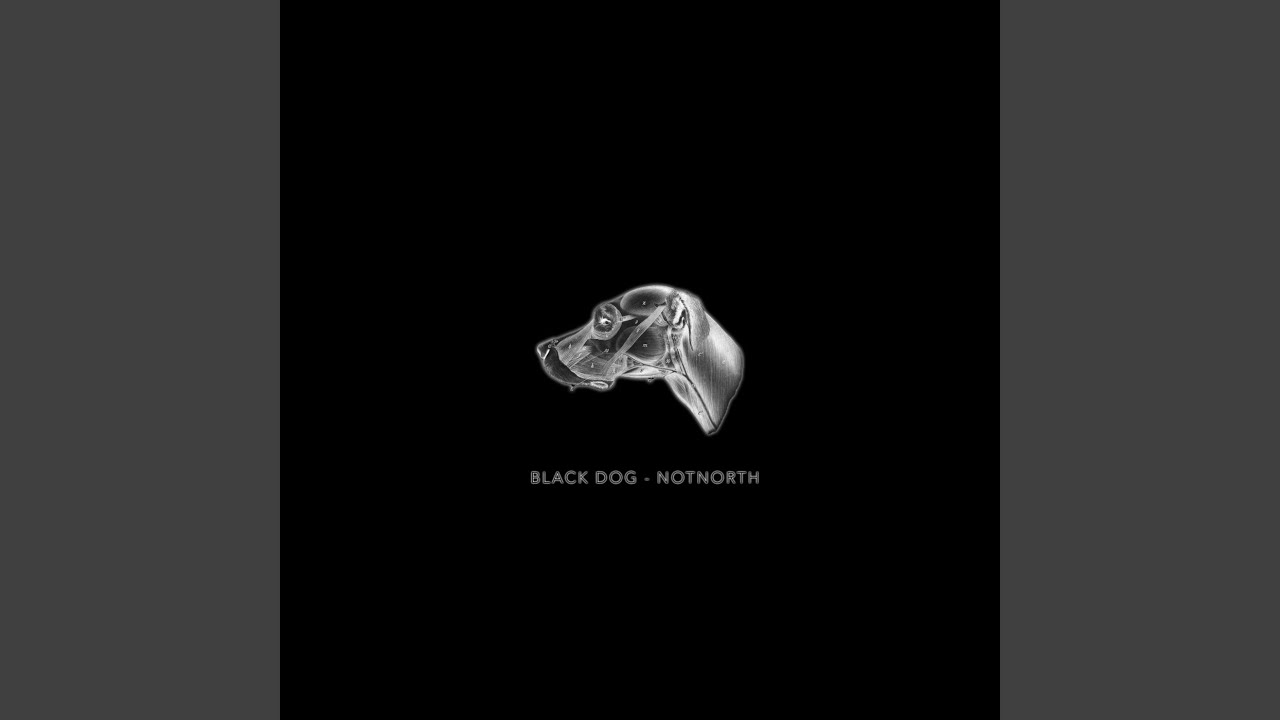 Black Dog