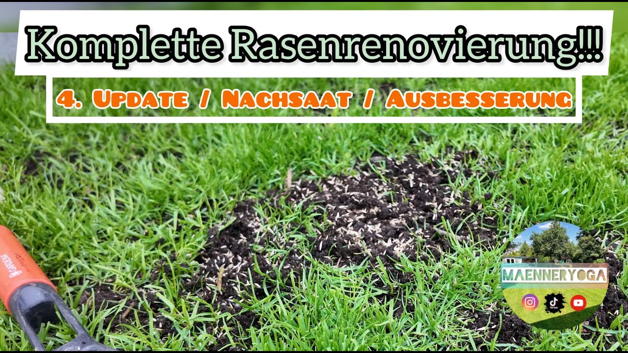 Rasen nachsäen - so funktioniert es! Die pure Rasenzerstörung (4. Update)