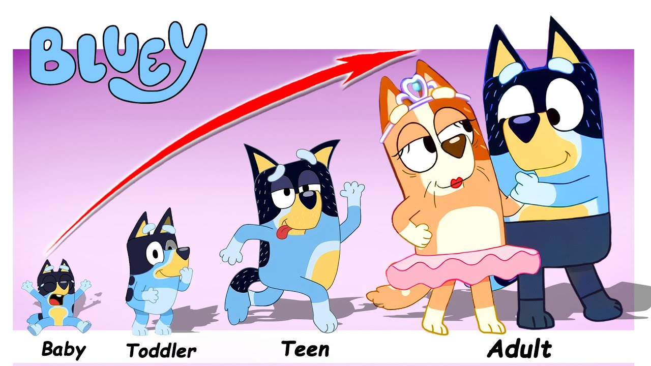 Bluey Heeler Growing Up COMPILATION | ADN Growing Up
