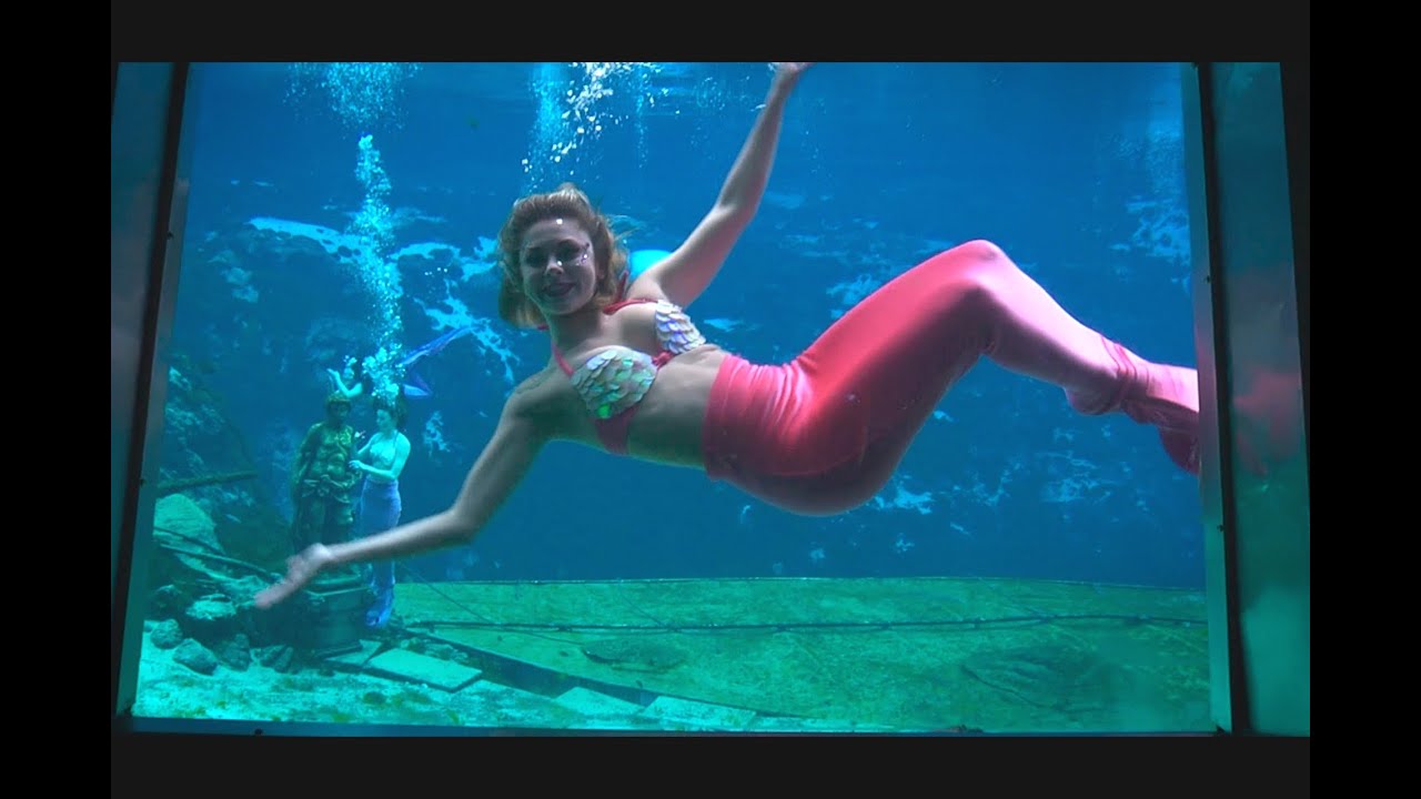 WEEKI WACHEE MERMAIDS share secrets to working underwater - WildTravelsTV.com