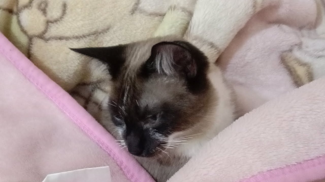 غبت عليكم 🙋تواحشتكم 😍