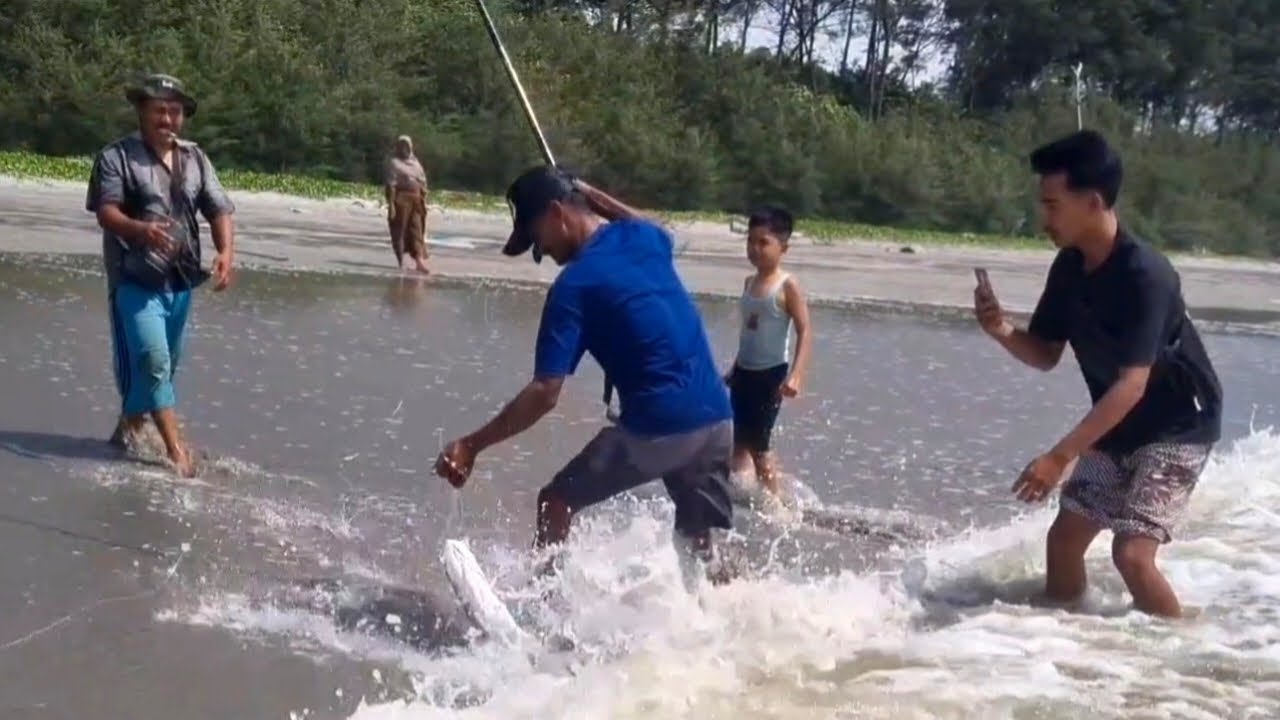 mancing GT umpan jatuh langsung di sambar