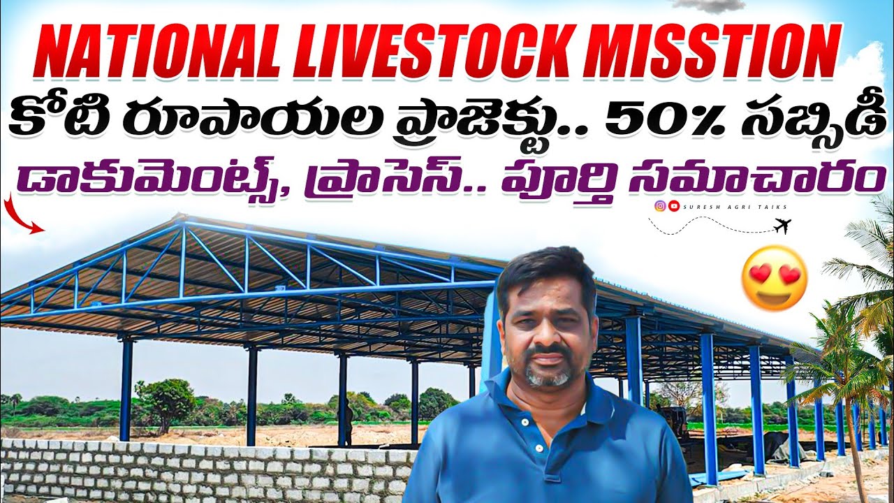 #sheep National livestock mission!1*Crore project 50% subsidy!!process, documents!!! #viralvideo