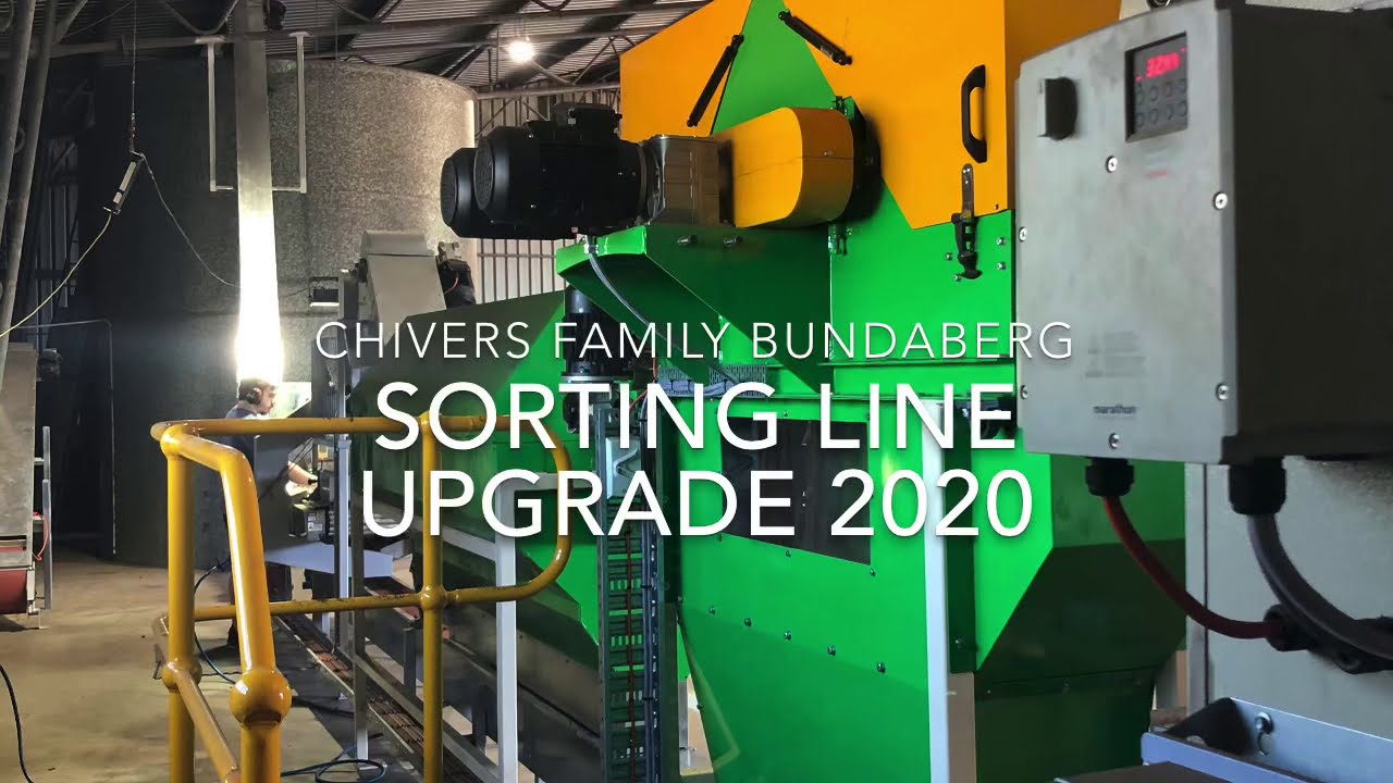 Chivers Family Macadamia Sorting line upgrade 2020