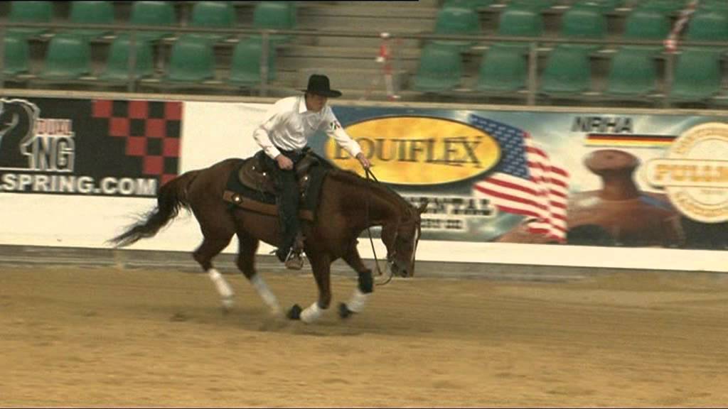nrha-peter-friedt-2011-kreuth.mpg