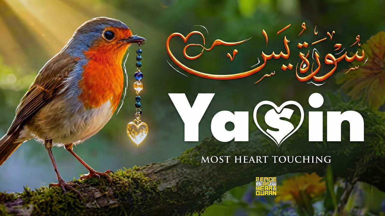 سورة يس 💖 Surah Yaseen | Heart-Touching Quran Recitation | Peace Of Heart Quran