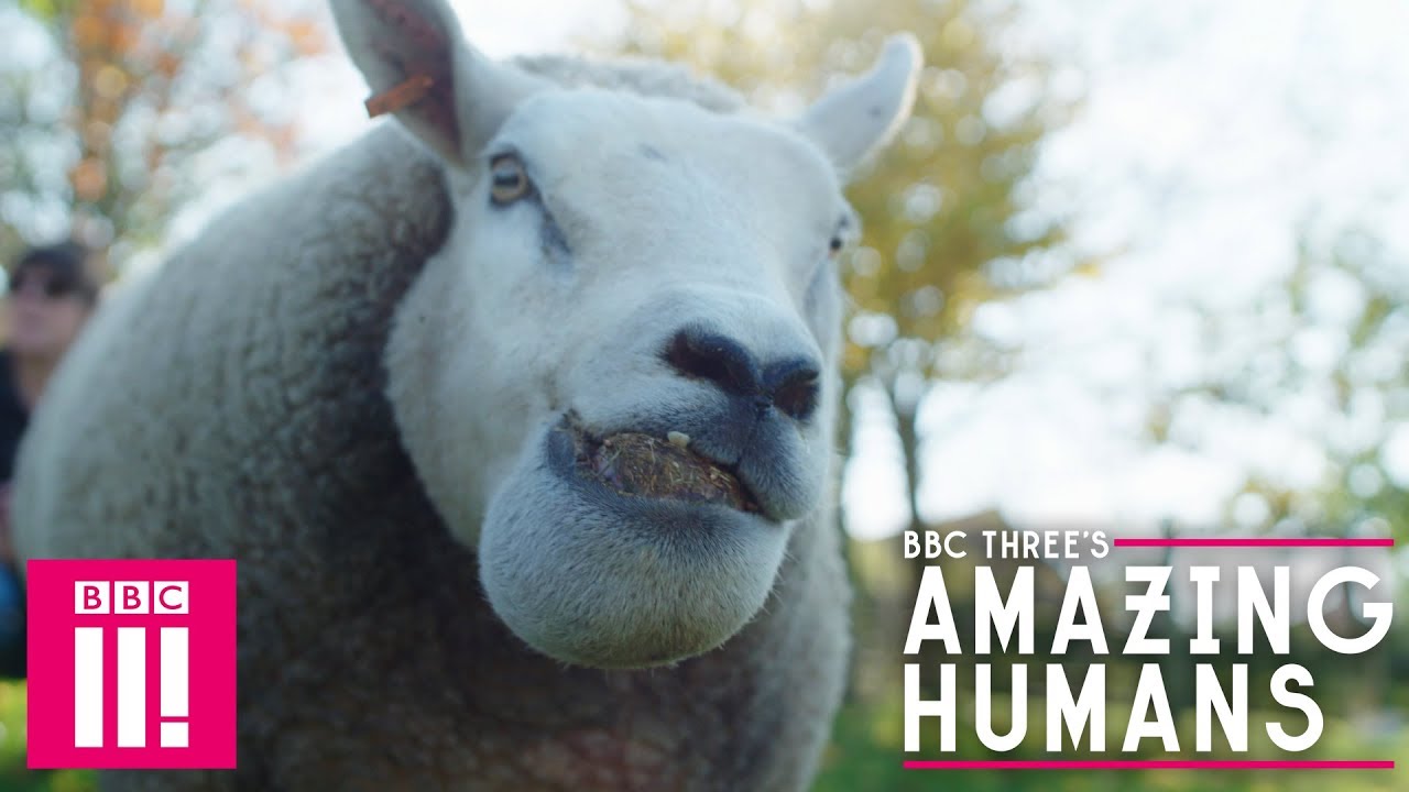 The Special Needs Farm | Inspiring Stories