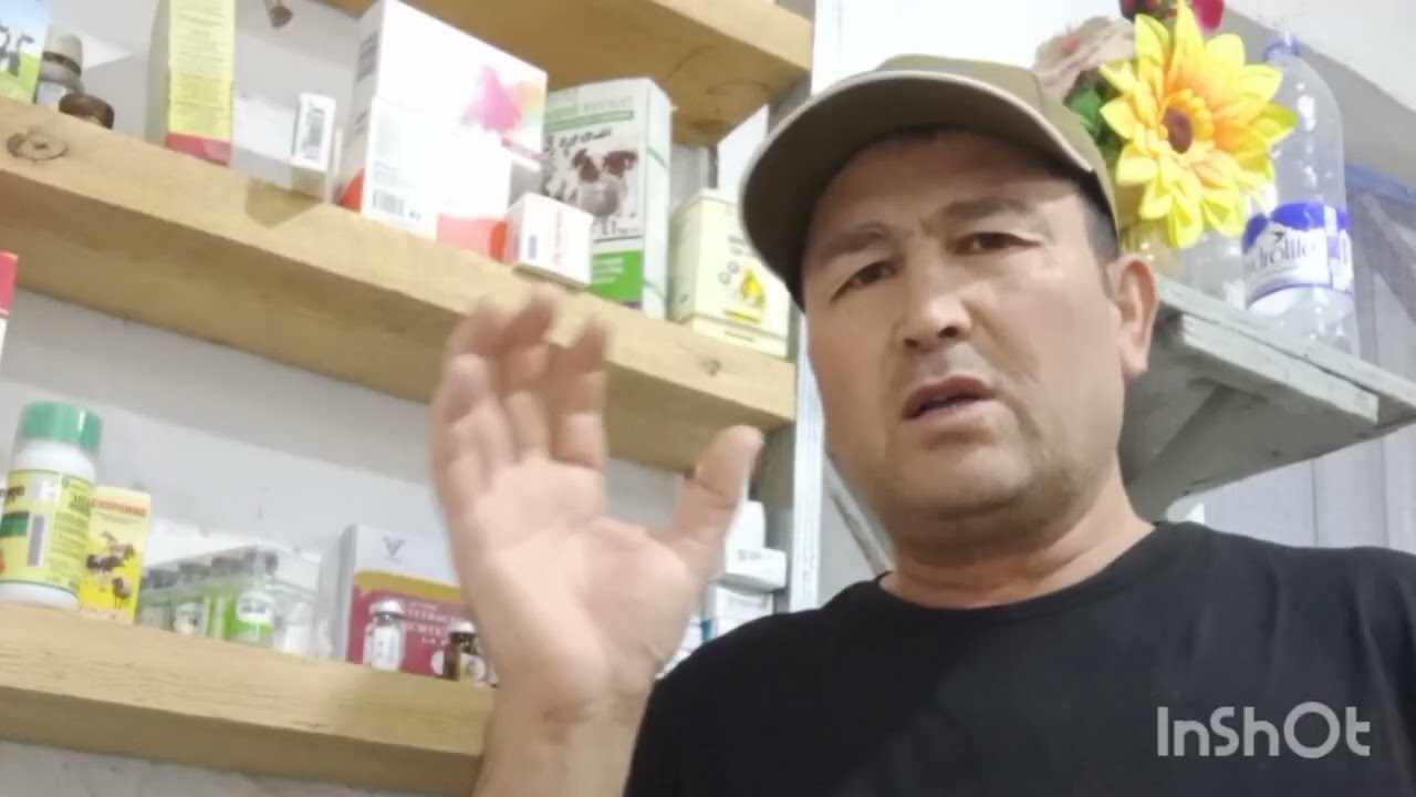 ХИРРИЛДИ ПИККИЛДИ ХАКИДА