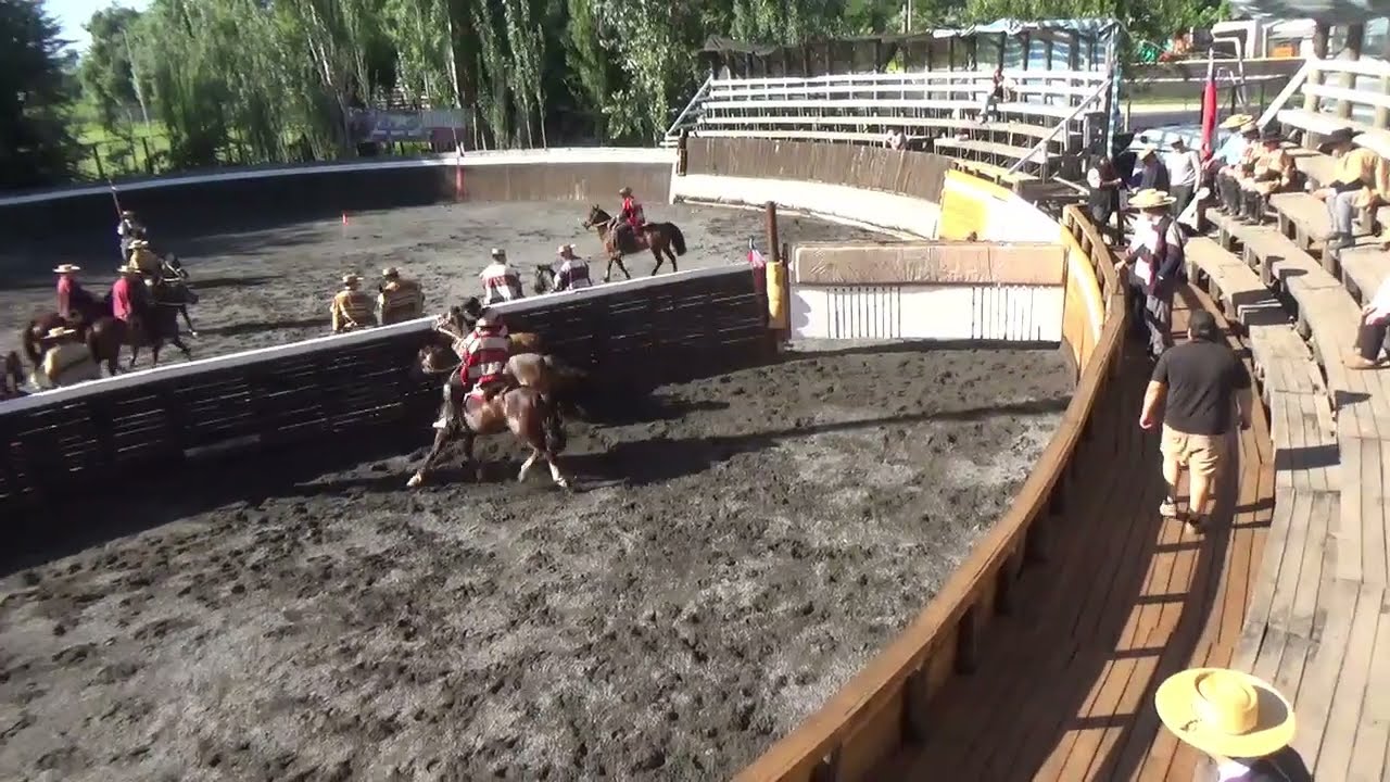 Club de rodeo el cisne  asociacion Valle Teno 22y23 Noviembre 2025 serie 1video 1