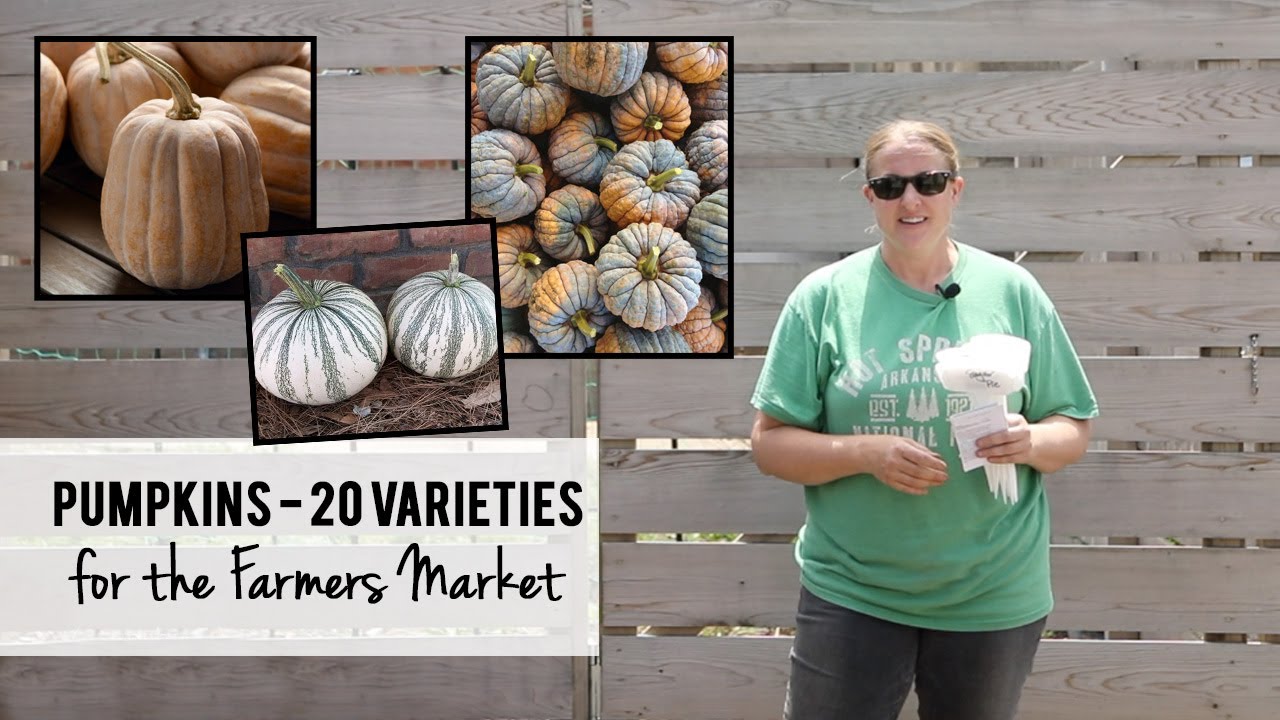 Planting Over 20 Varieties of Pumpkins for the Farmers Market!!!