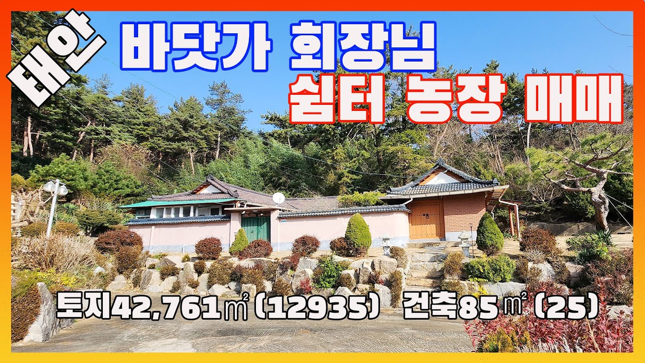 [물건번호2360]16억5천 → 13억 3억 가격인하  급매 태안군 근흥면 바닷가 5~10분 거리 숲속 회장님 쉼터 매매 합니다,  단가 저렴하게 나온 물건 입니다,  카페하면 좋