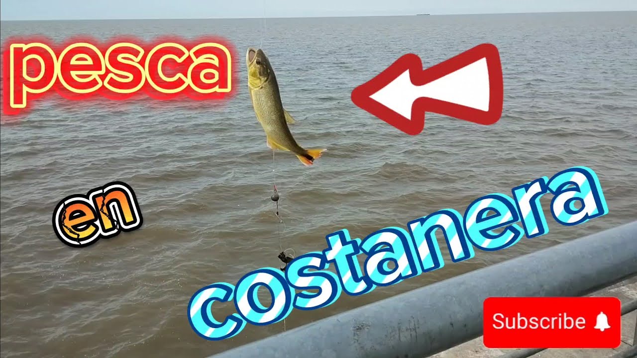 Costanera Norte,pesca de dorados y mucho más