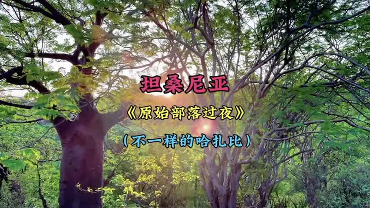 坦桑尼亚篇 本期内容：（原始部落过夜）（又见村花）（给他们吃方便面自嗨锅）（部落没有电的夜生活）（清晨狩猎）（非洲最后合法的打猎部落哈扎比）#交换世界计划