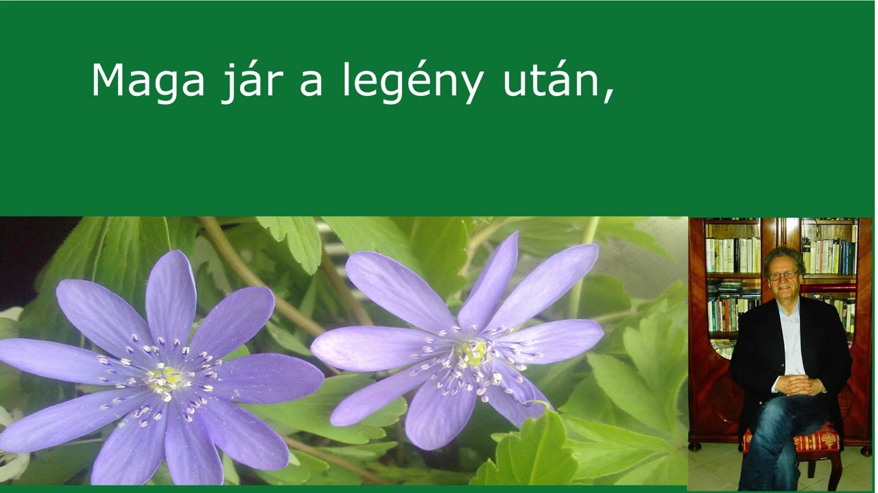 Magyarnóta Karaoke Ez a kislány megy a kútra.