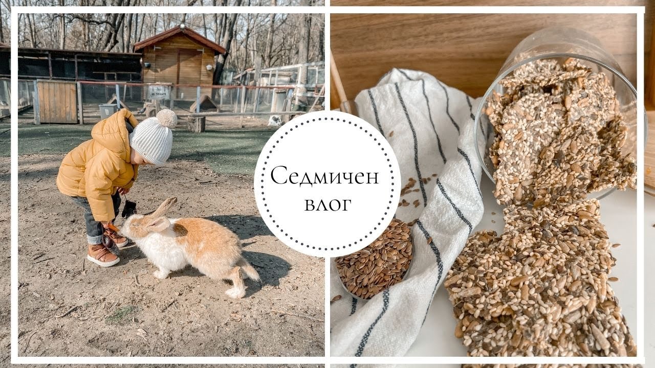 Седмичен влог: Храним зайчетата + рецепта за вкусни крекери от семена