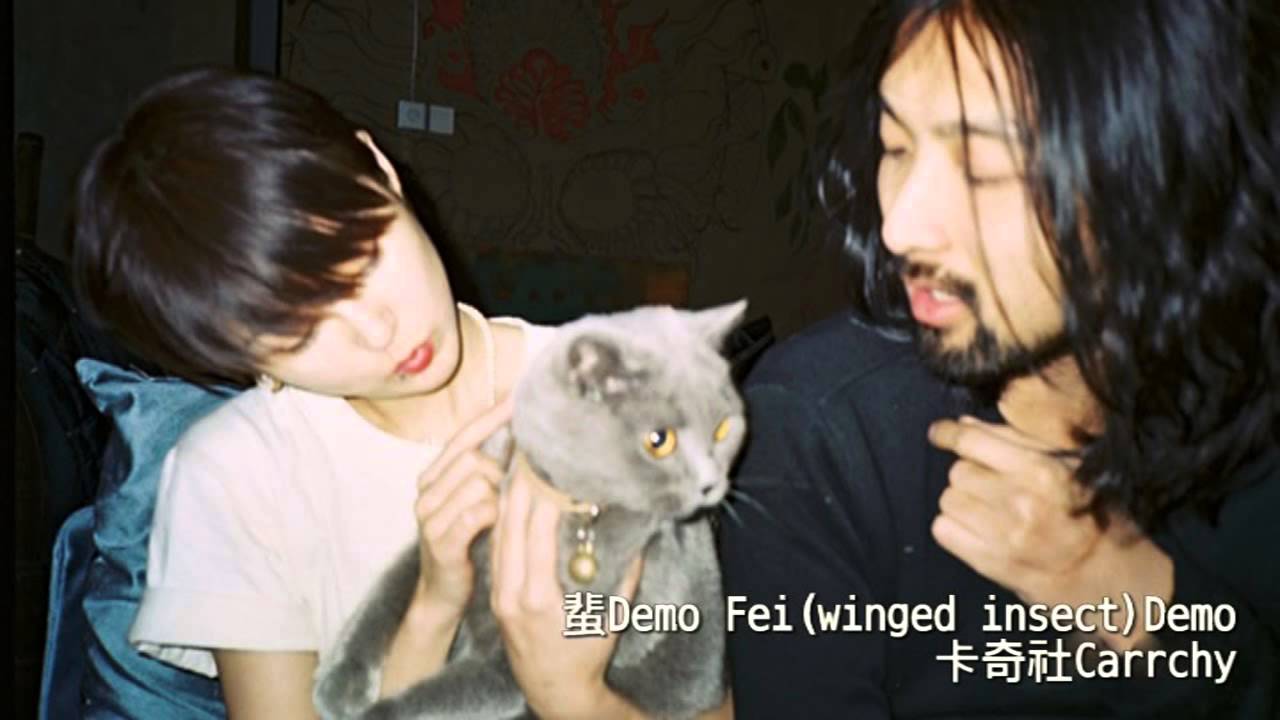 蜚 Fei(Demo) 卡奇社 Carrchy